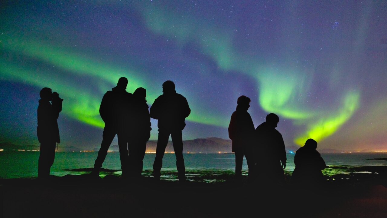 Double-dip savings at Viator with Rakuten and Amex offers