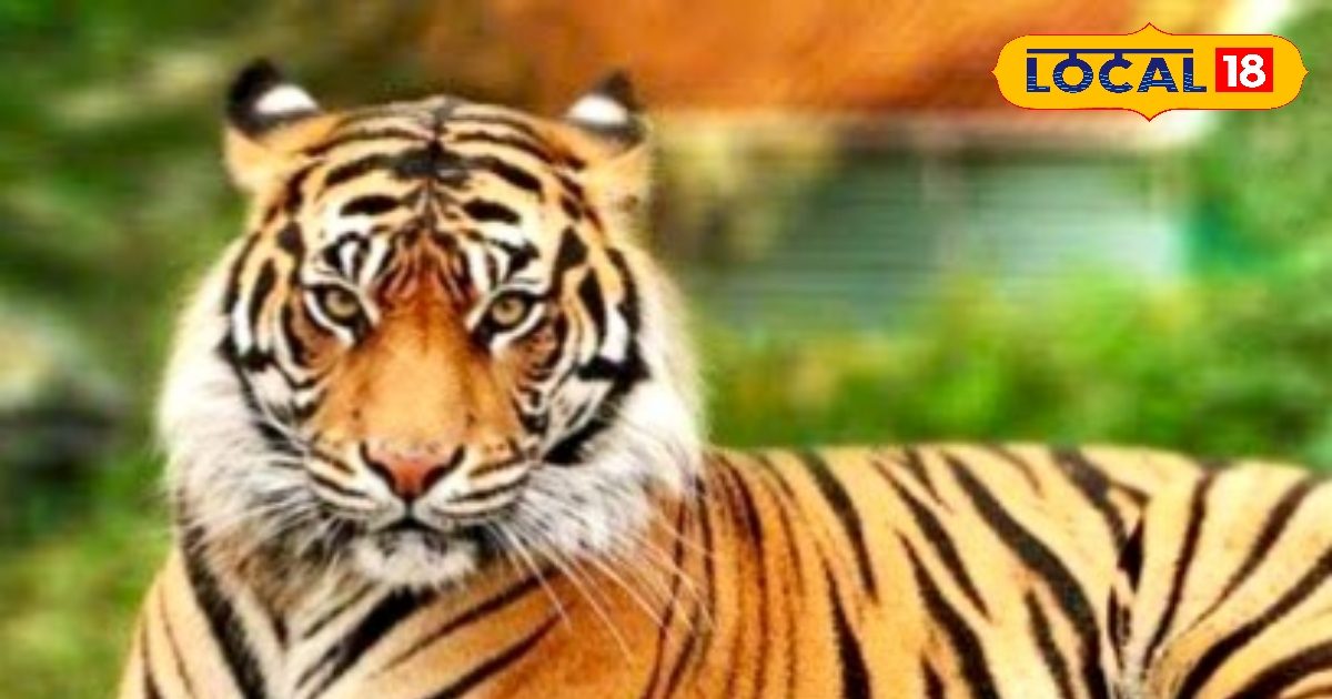 HYP 5763900 cropped 14022026 141051 img 20260214 141041 waterm 1