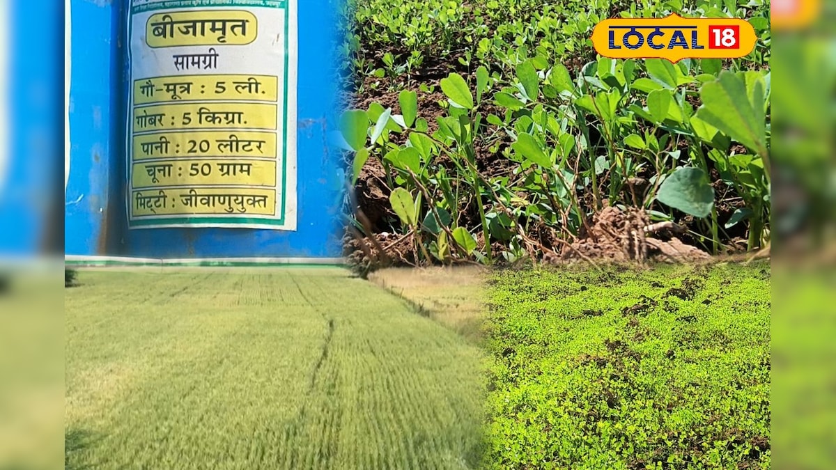 HYP 5767774 cropped 16022026 162119 inshot 20260216 162014654 1