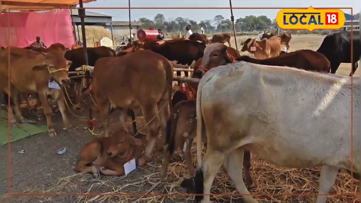 HYP 5775360 1771572465412 2