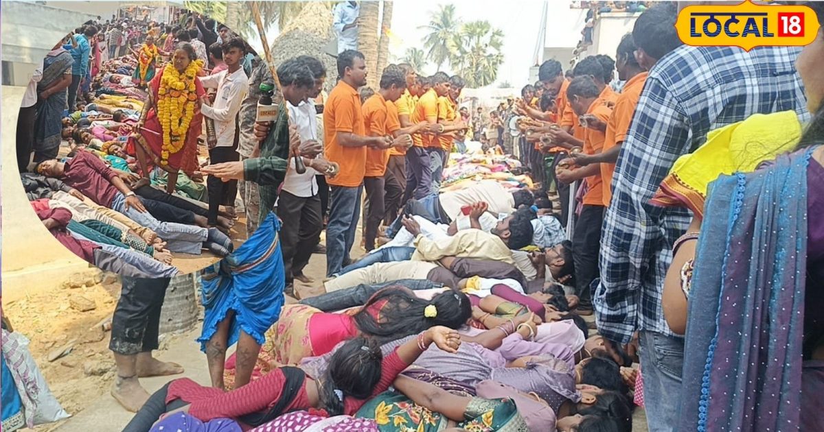 Jatara 2026 02 a74c3fc977caa9a559448f31da346b49