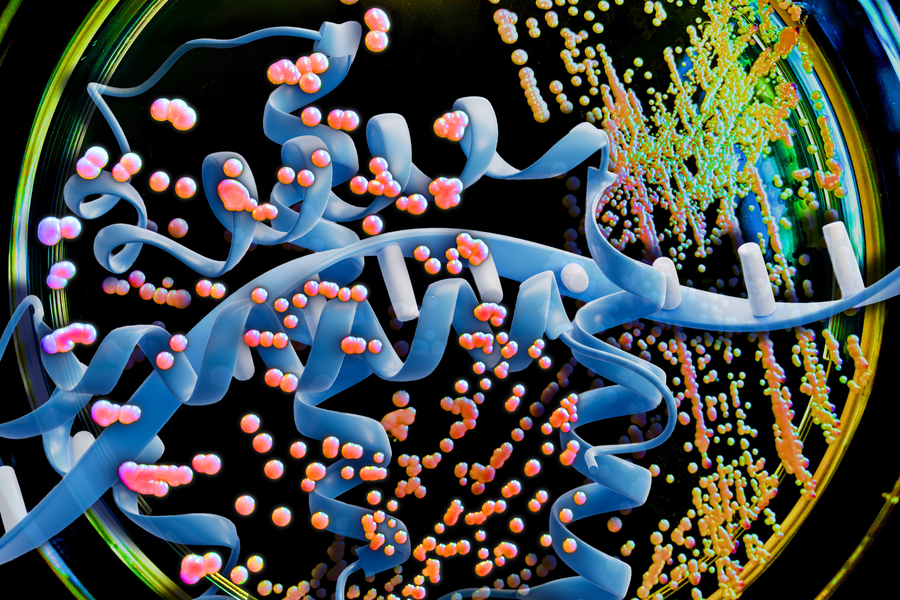 MIT Efficient Yeast 01 press 0