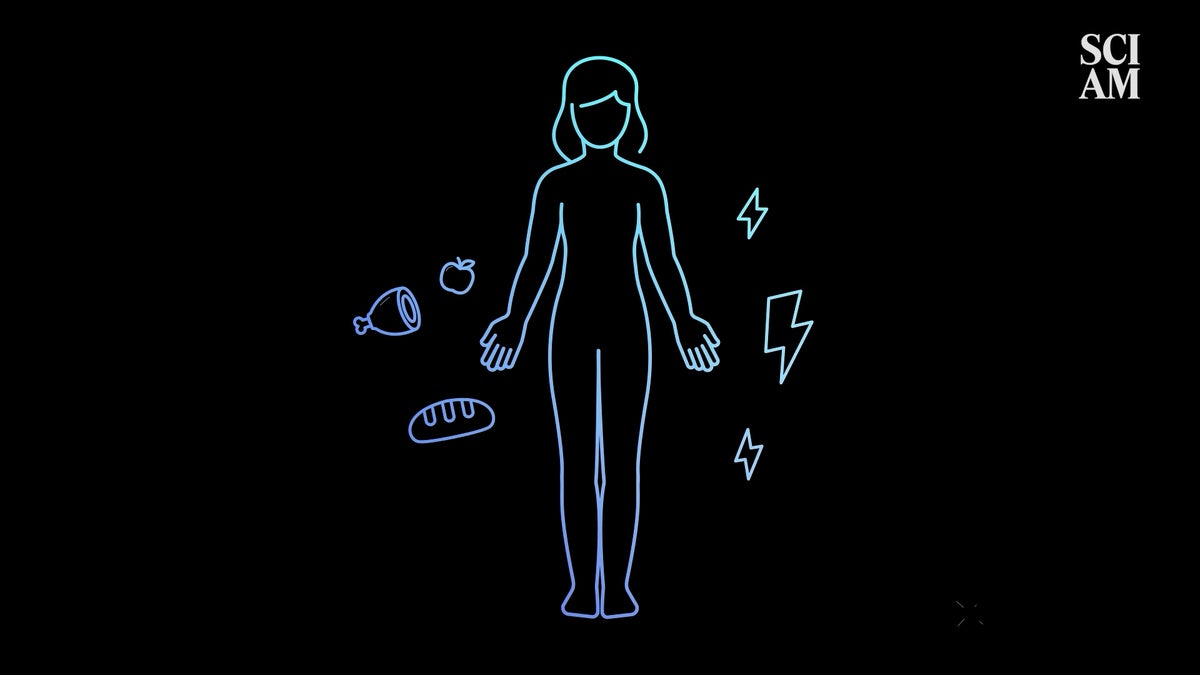 Type 1 Diabetes Animated Explainer Art