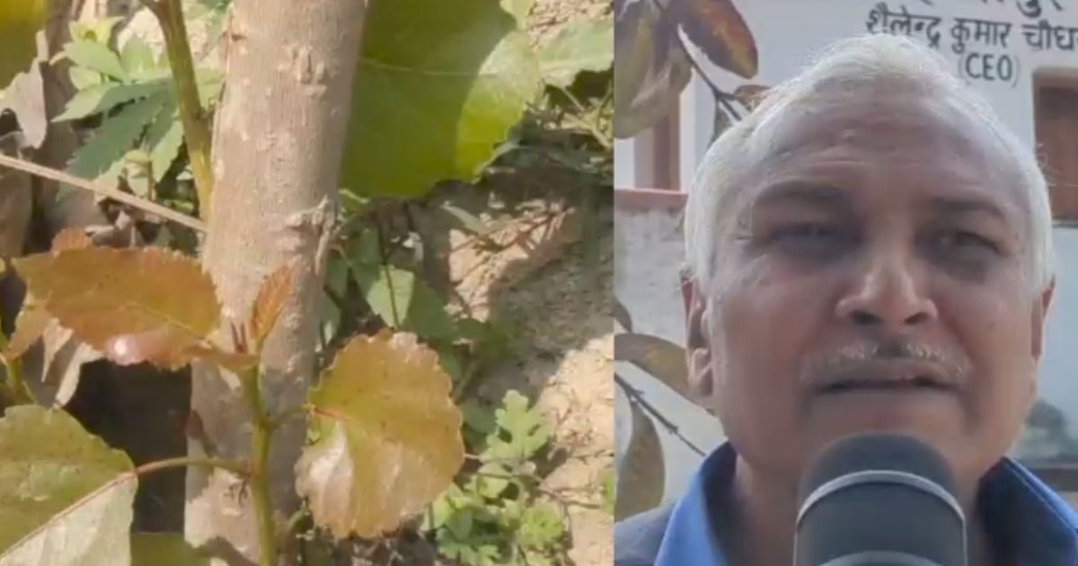 Untitled design 2026 02 91f36cadc29c8775b96cacae745a4140