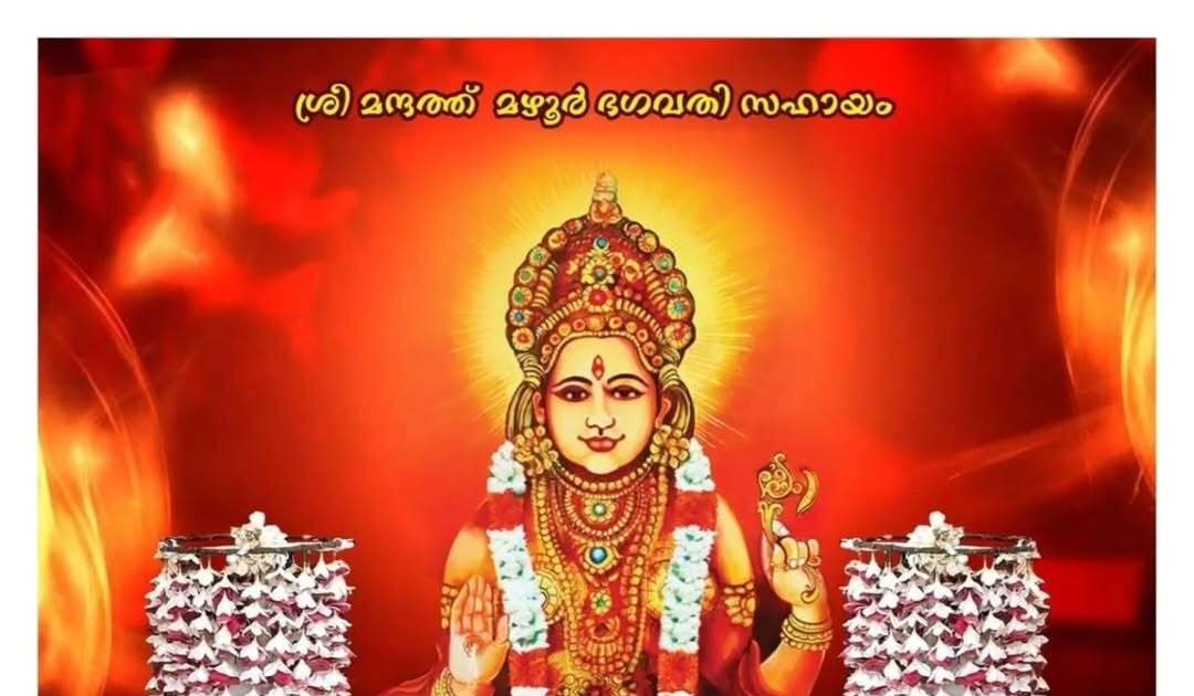 WhatsApp20Image202026 01 3020at203.17.5620PM