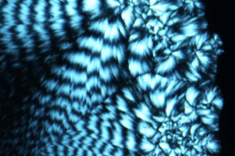 borrowing from biology