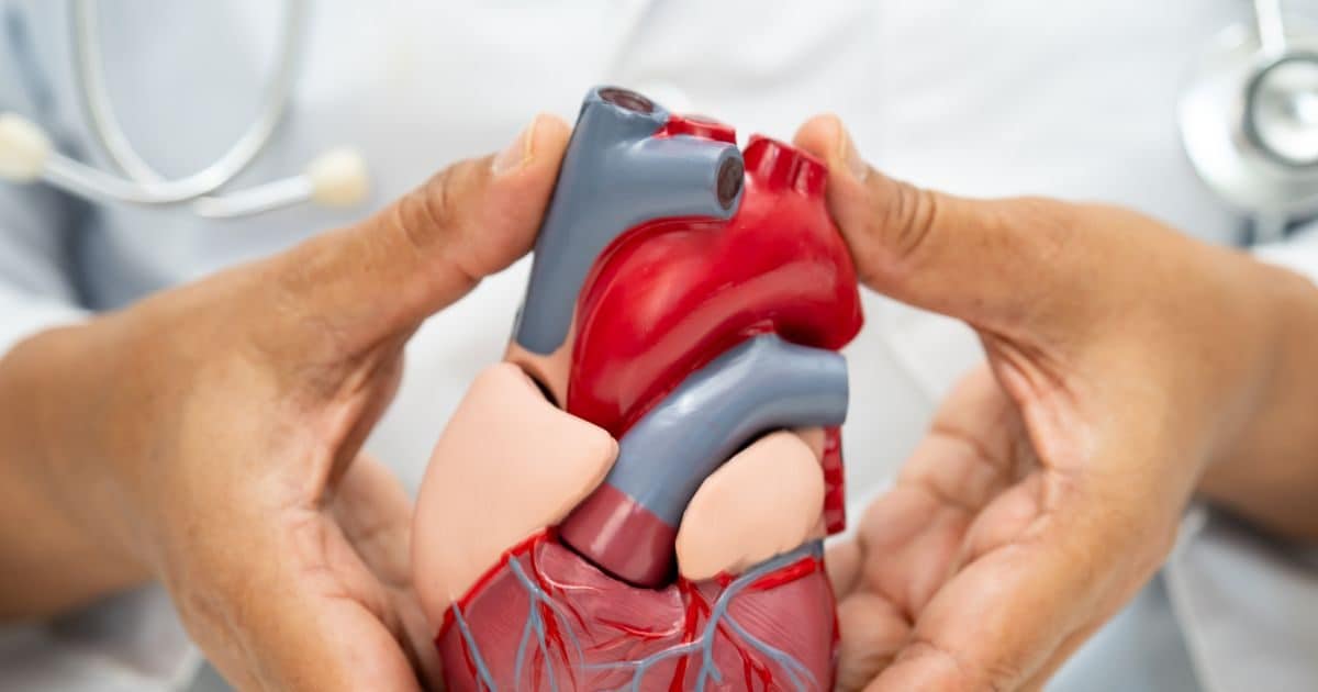 heart transplant india 2026 01 8d84bb47ac523459f8912f5ed7010c55