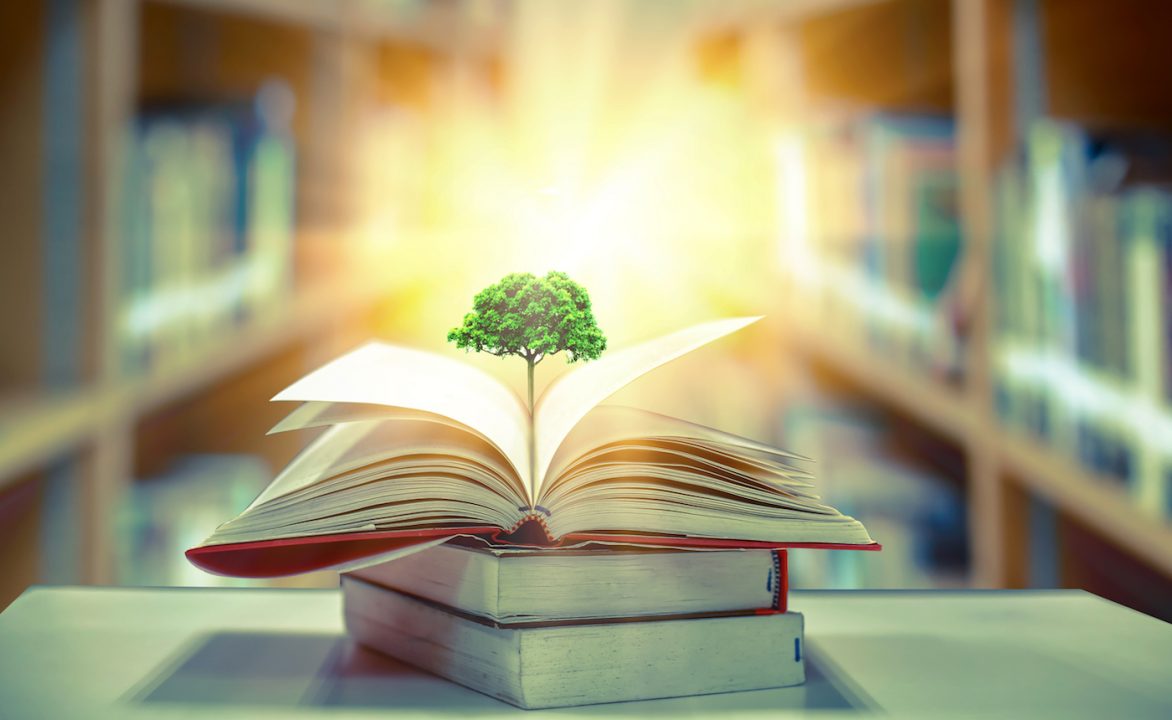 knowledge small shutterstock 1291221574