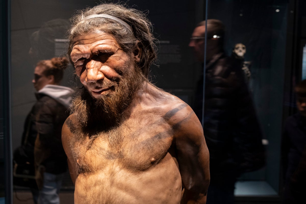 neanderthal