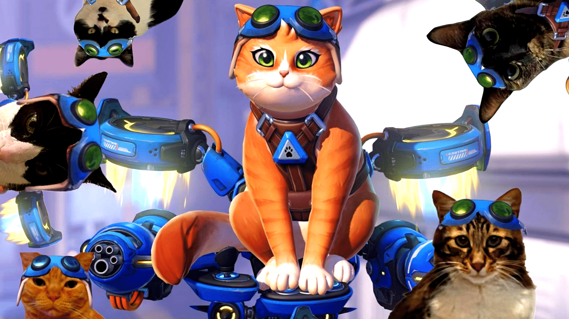 overwatch cat with a jetpack