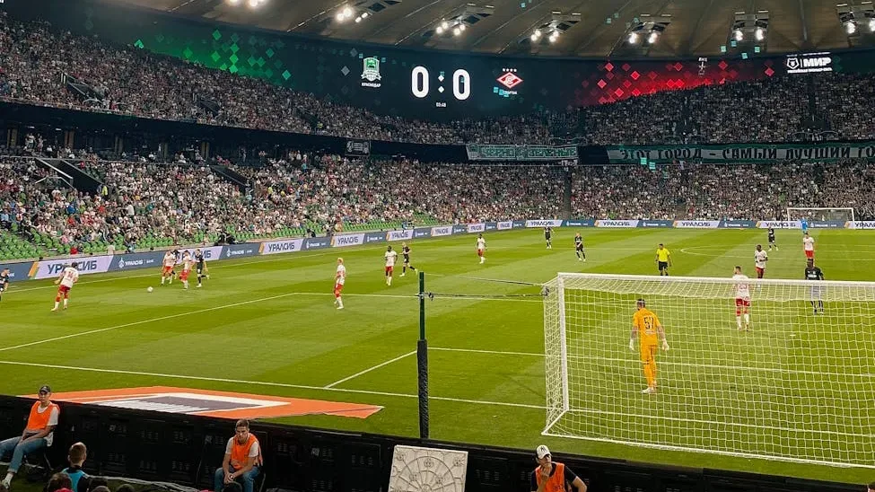 pexels photo 12980725 e1771522006211.webp