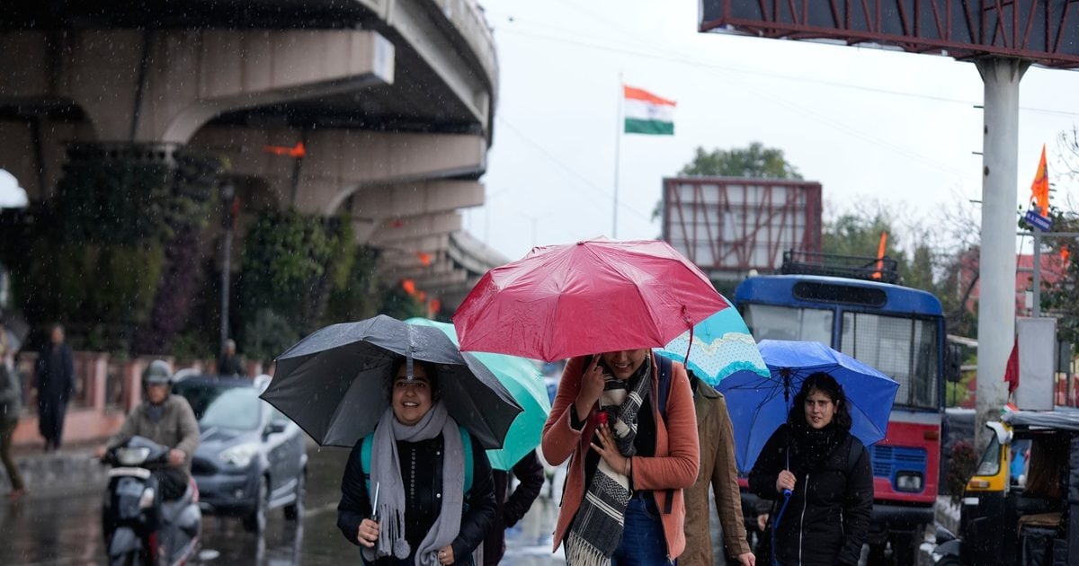 rain 2026 01 655ceffaf99a1ba6212d5be4d56ee331