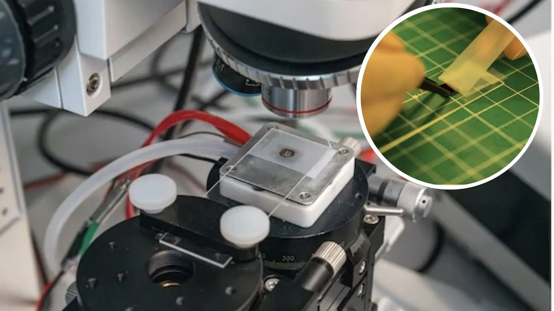 ultrathin electronic.webp