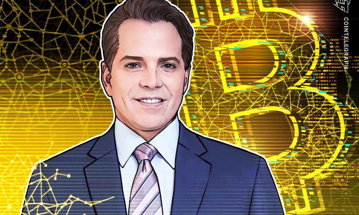 Current Bitcoin Price Correction Is ‘Garden Variety’