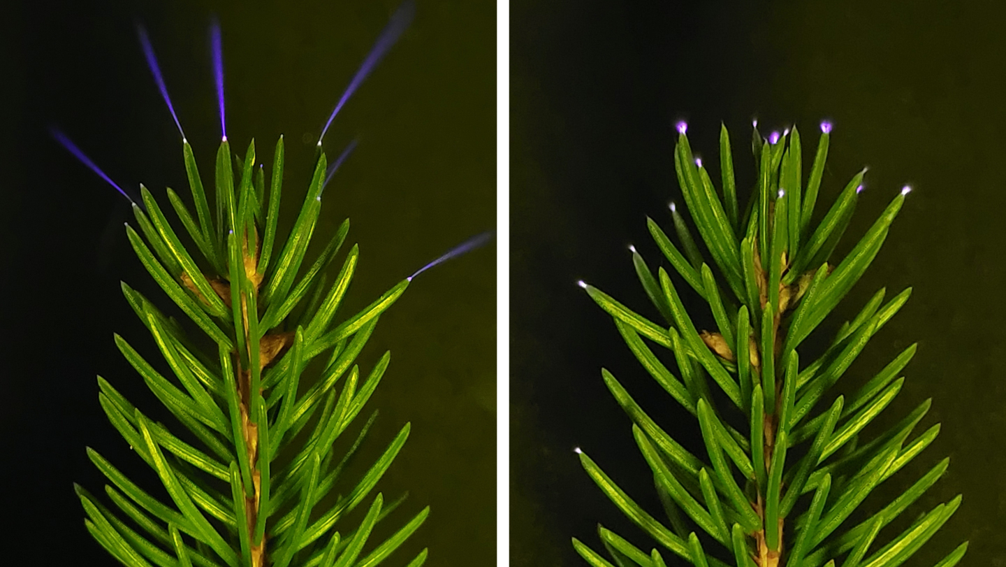 030526 LB thunderstorms main