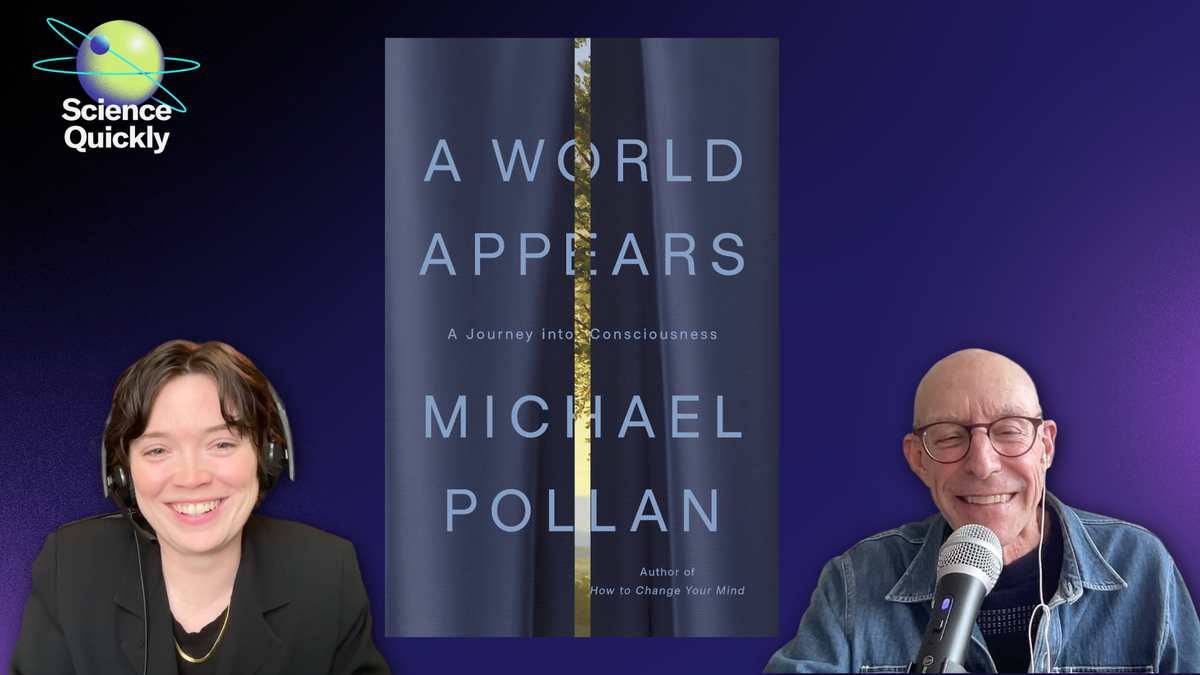 2603 SQ WED MICHAEL POLLAN
