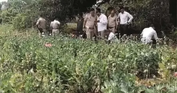 68c80239ab1670291ef7399136e8c332 492700650