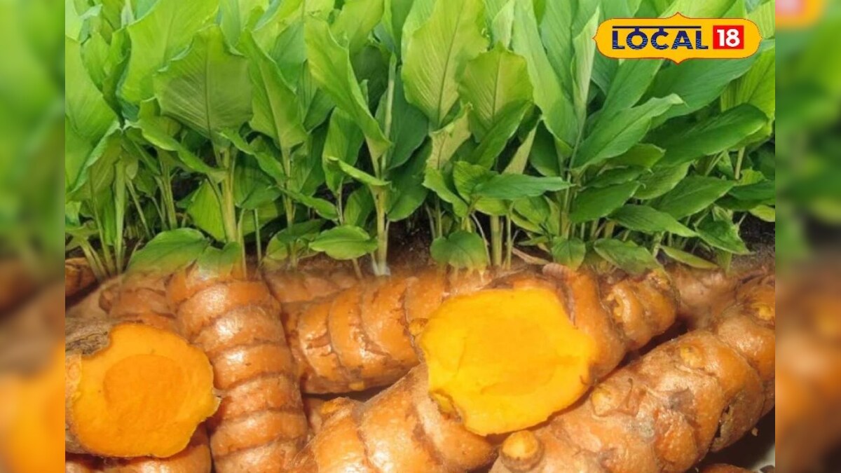 HYP 5469273 cropped 22092025 141751 inshot 20250922 133708008 1 3x2 2026 03 1ca8729ffc671bbbe808eae