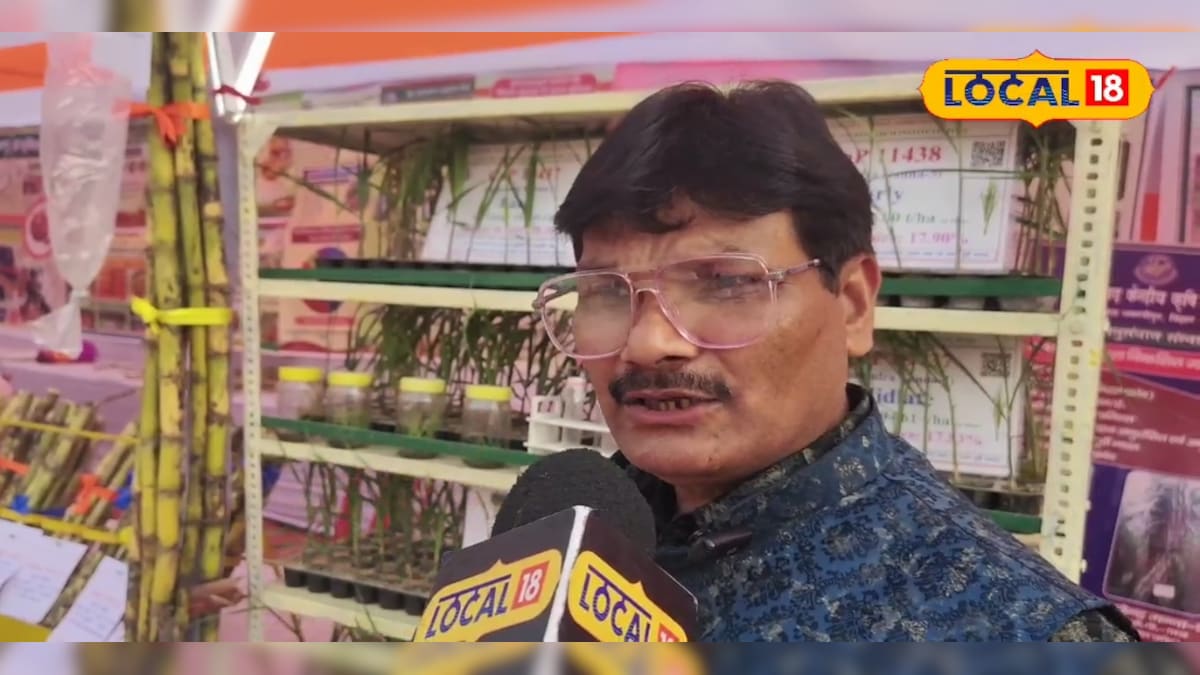 HYP 5811953 1774100770003 1