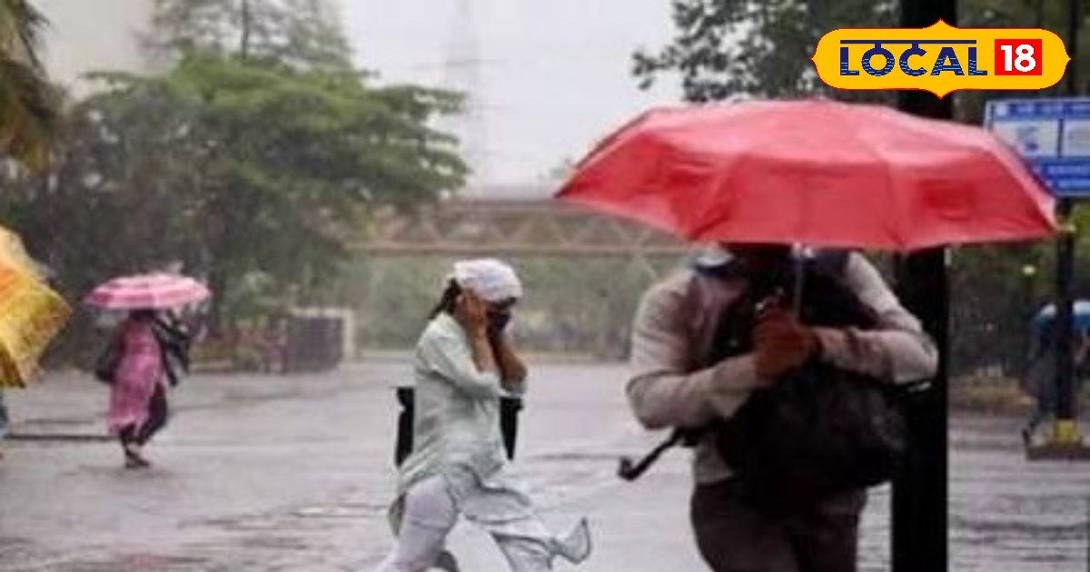 HYP 5817911 cropped 31032026 060412 images 2 5 watermark 31032 2