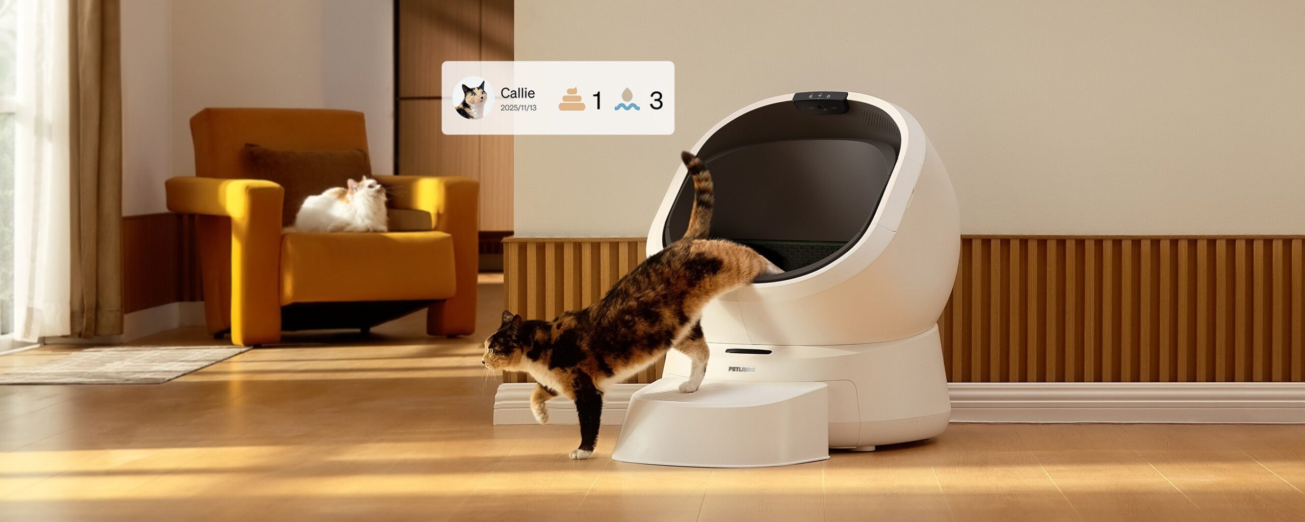 Petlibro Luma Smart Litter Box ID ec9838810a89 scaled