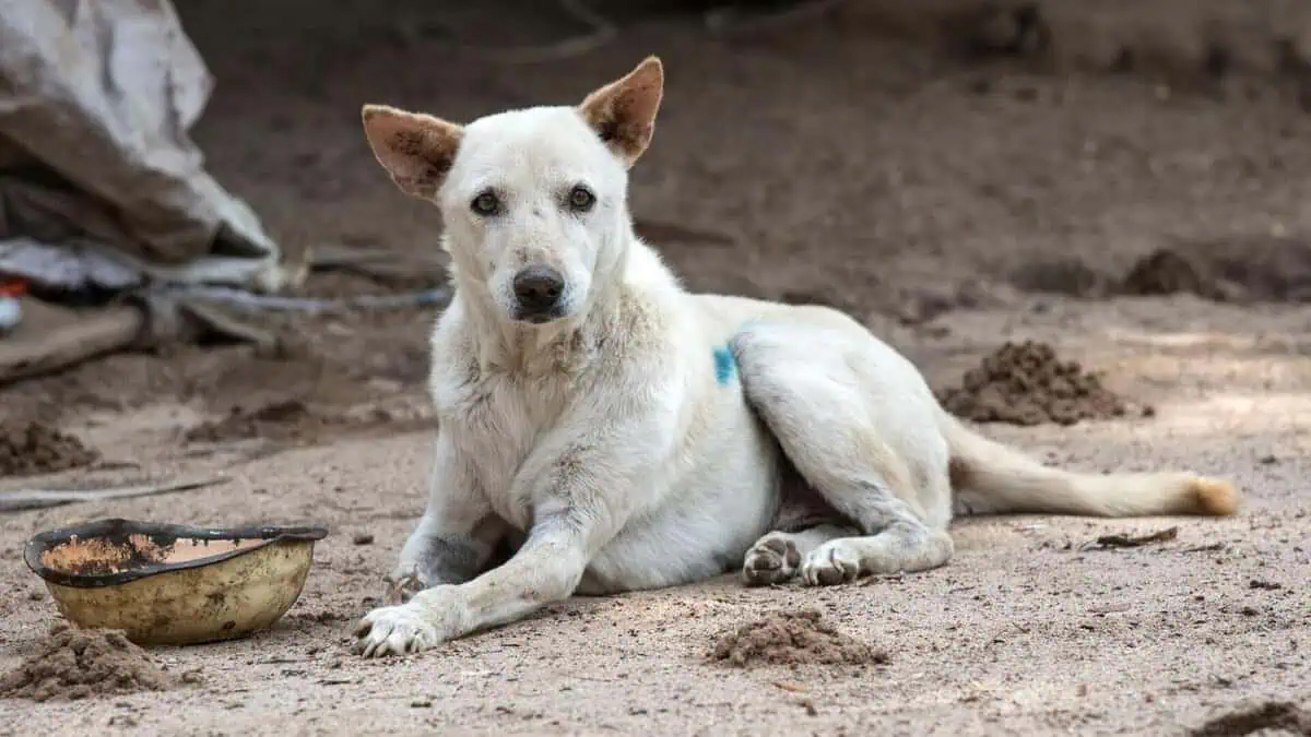 Representational Image 5