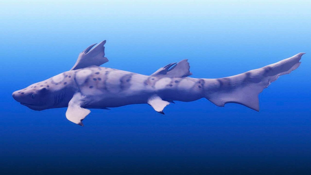 Top predators still prowled the seas after the biggest mass extinction