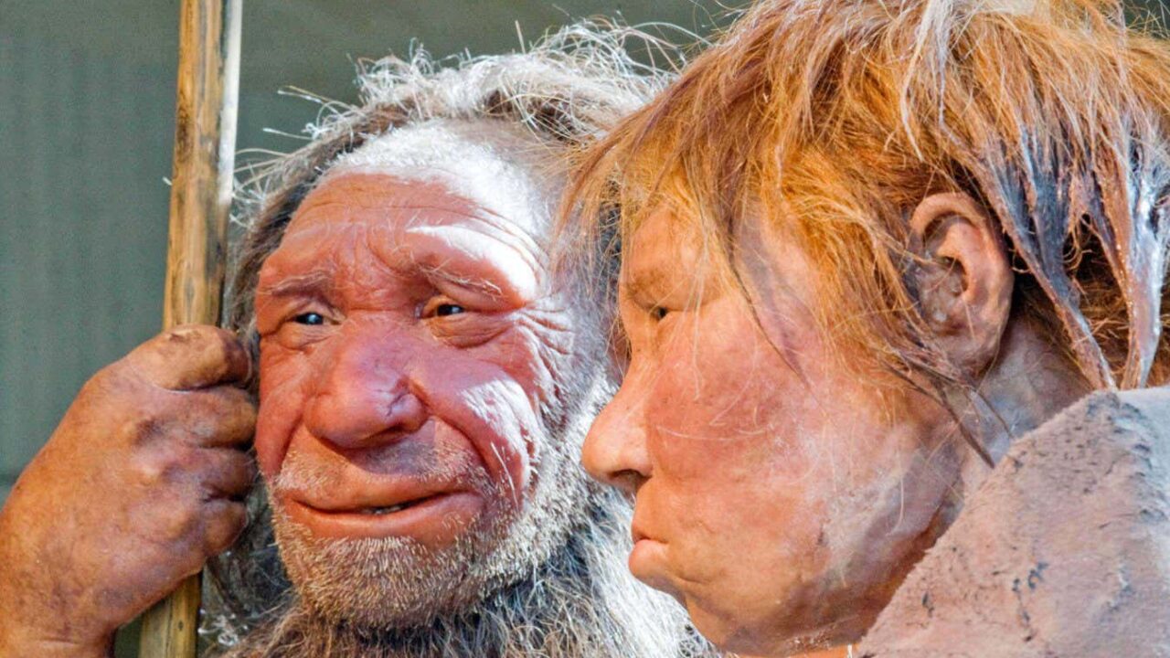Genetic clues tell the story of Neanderthals’ decline