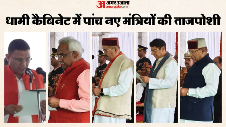 cm dhami ba1f3968034d4449fe27e4c9bef4ef6b