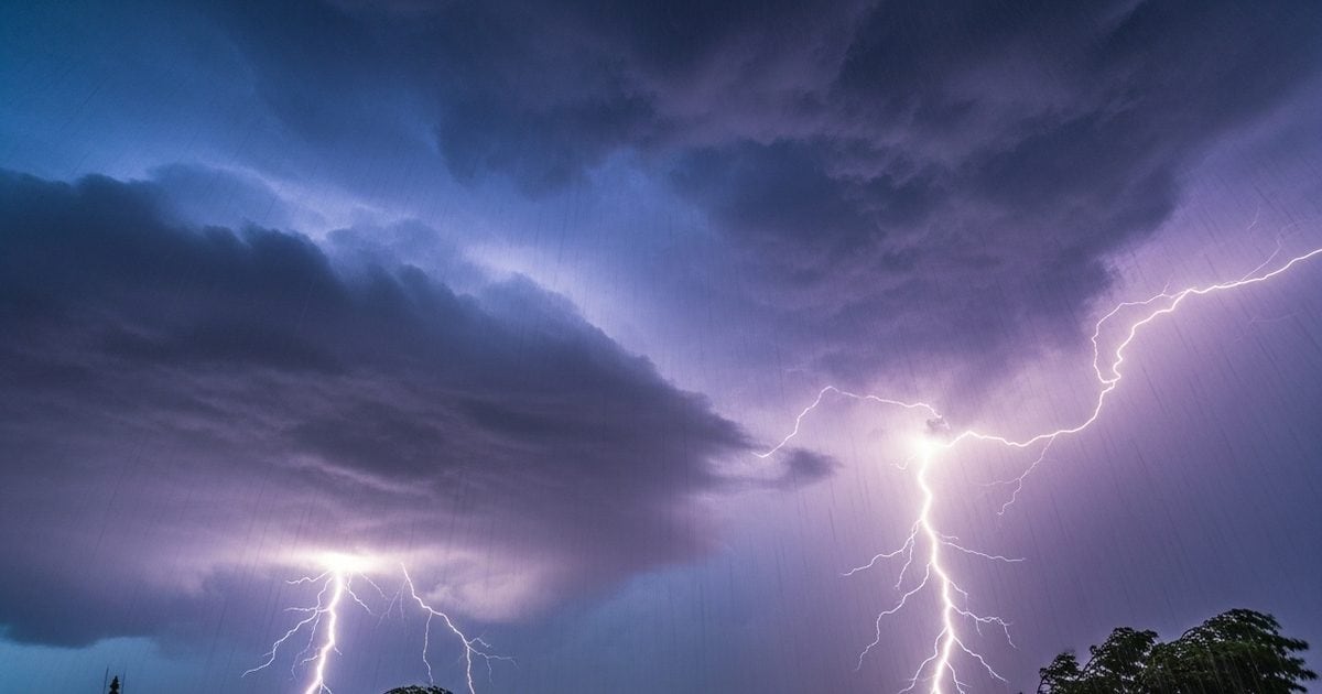 image 2026 03 fb47635e008bfd31b0e2defb824c40cf