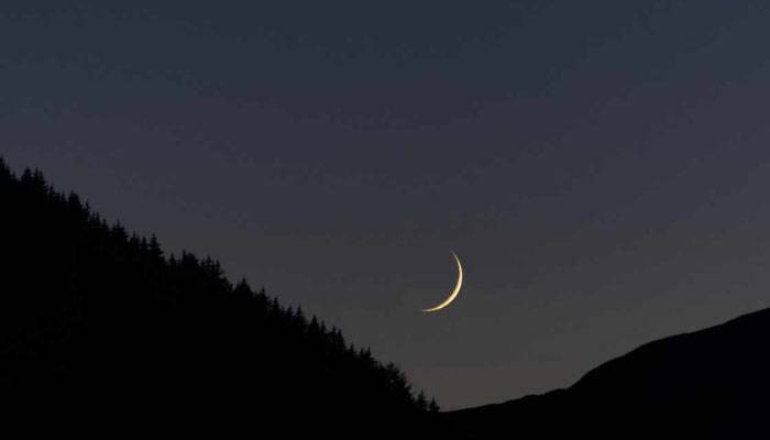 news 1773855937 4772