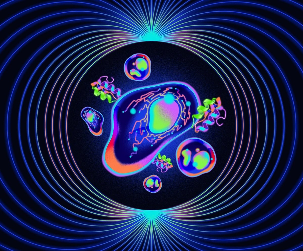 quantum proteins illo