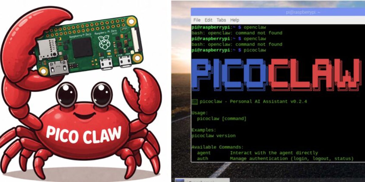 raspberry pi picoclaw