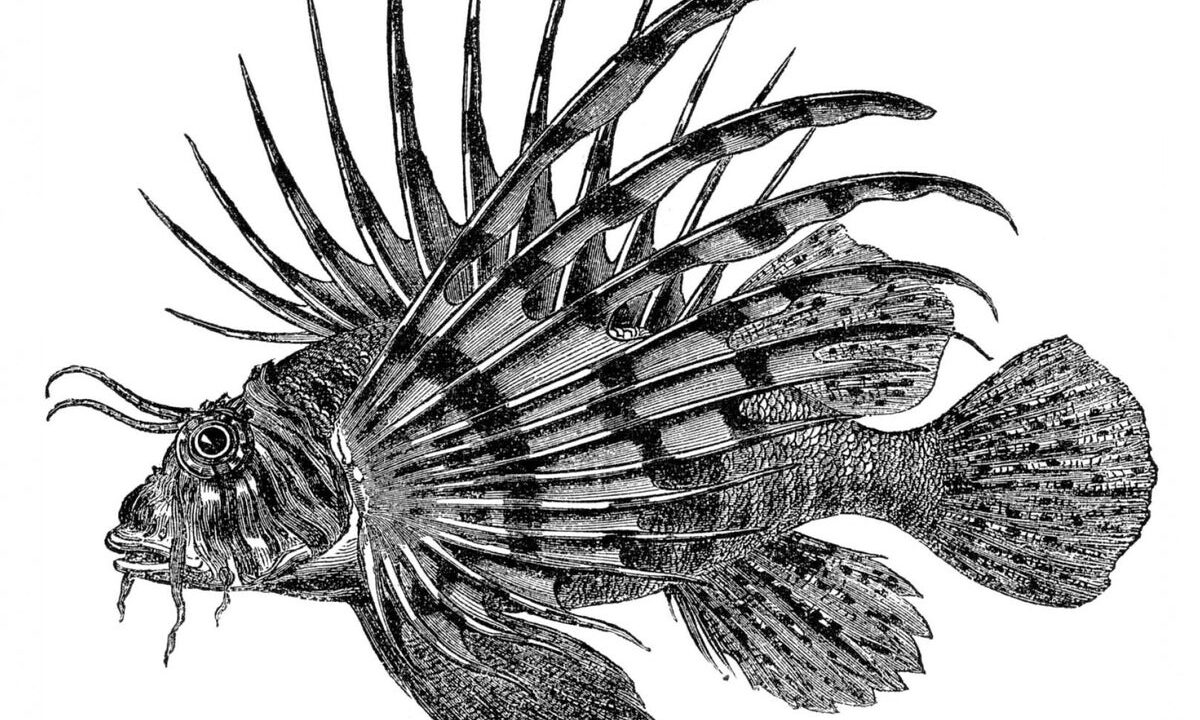 April 2026: Science history from 50, 100 and 150 years ago