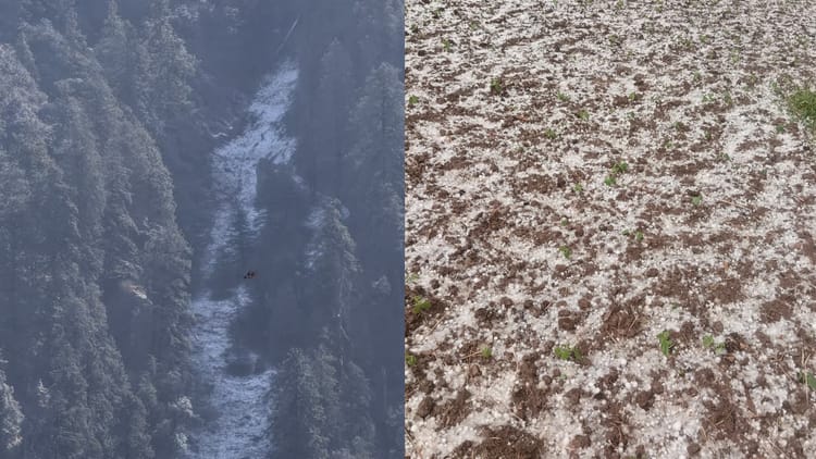 snowfall in chakrata ebb8823739df12ecbcc17632304d0d66