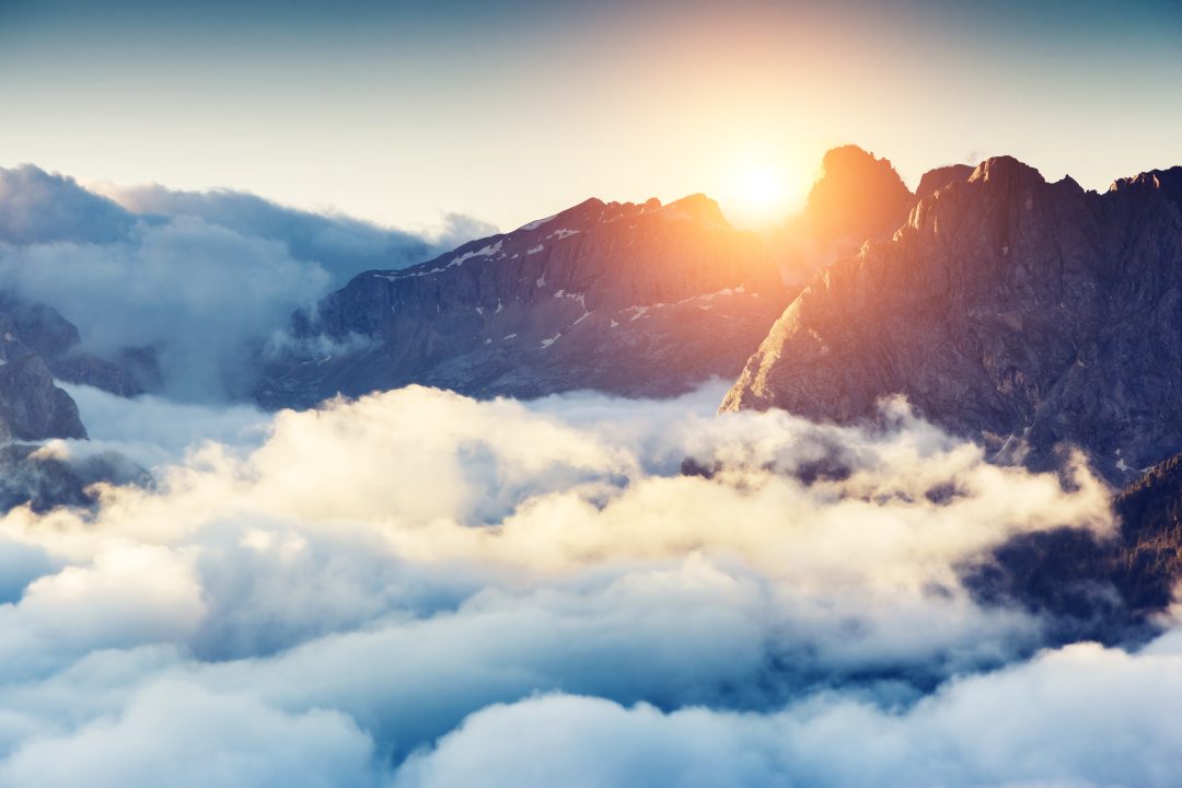 treasure paradigm 1 shutterstock 217404238 scaled e1607186559834