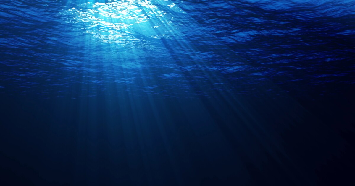 urlhttps3A2F2Fnewatlas brightspot.s3.amazonaws.com2F082F6c2F158929ea4e51b11e534abe487a532Fd