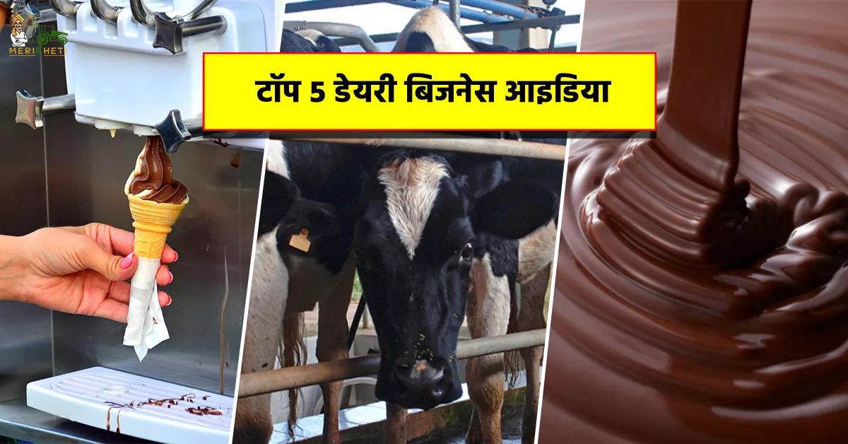 कम लागत में शुरू होने वाले टॉप 5 डेयरी बिजनेस1.webp