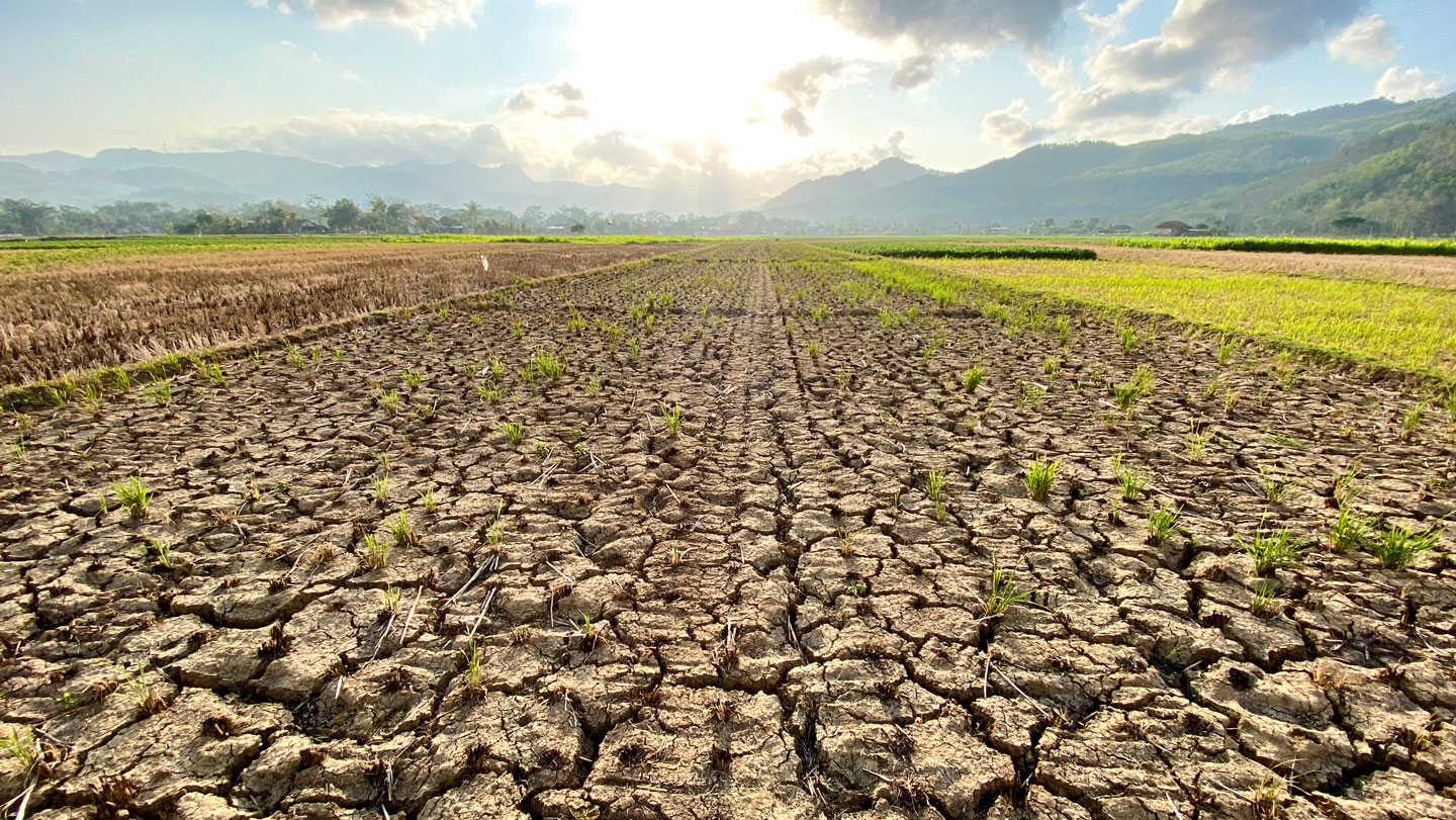 042126 EG climate main