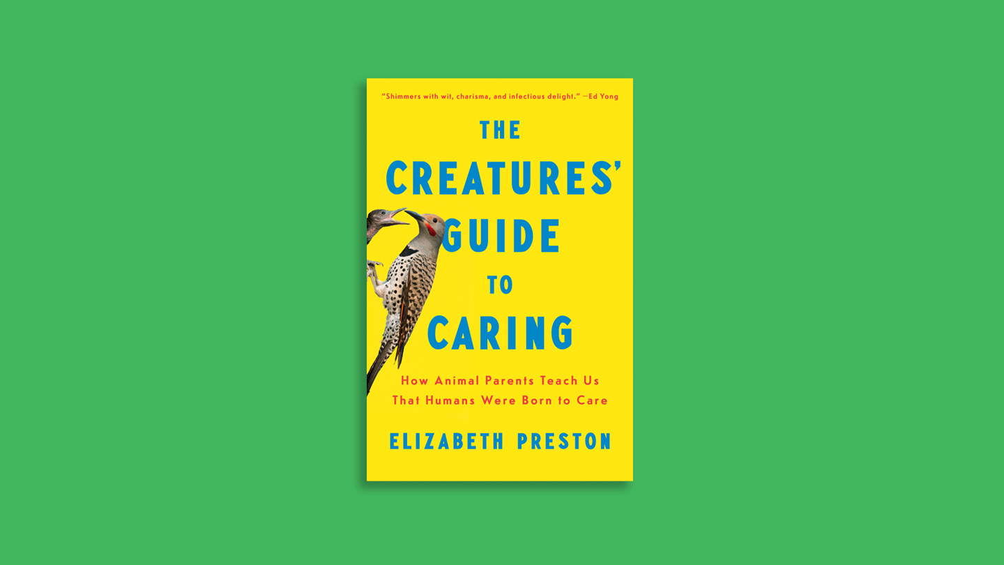0526 reviews creatures guide