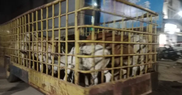 102ca0f90edf0ed13bd161d07f5b7fc8 1292420572 copy