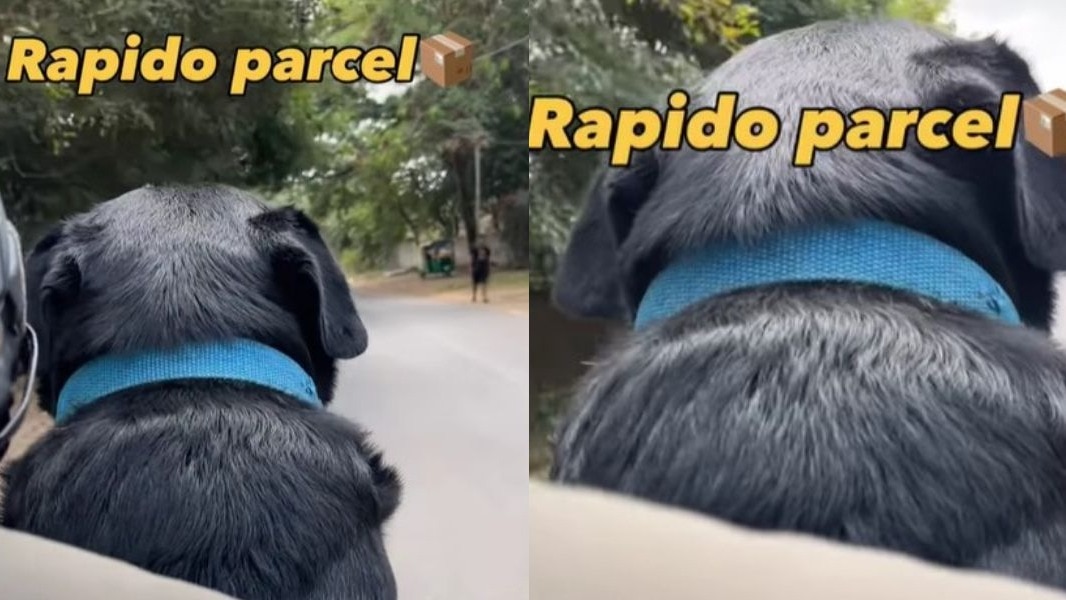 69eb042148e63 photo instagramkalua t 244811599