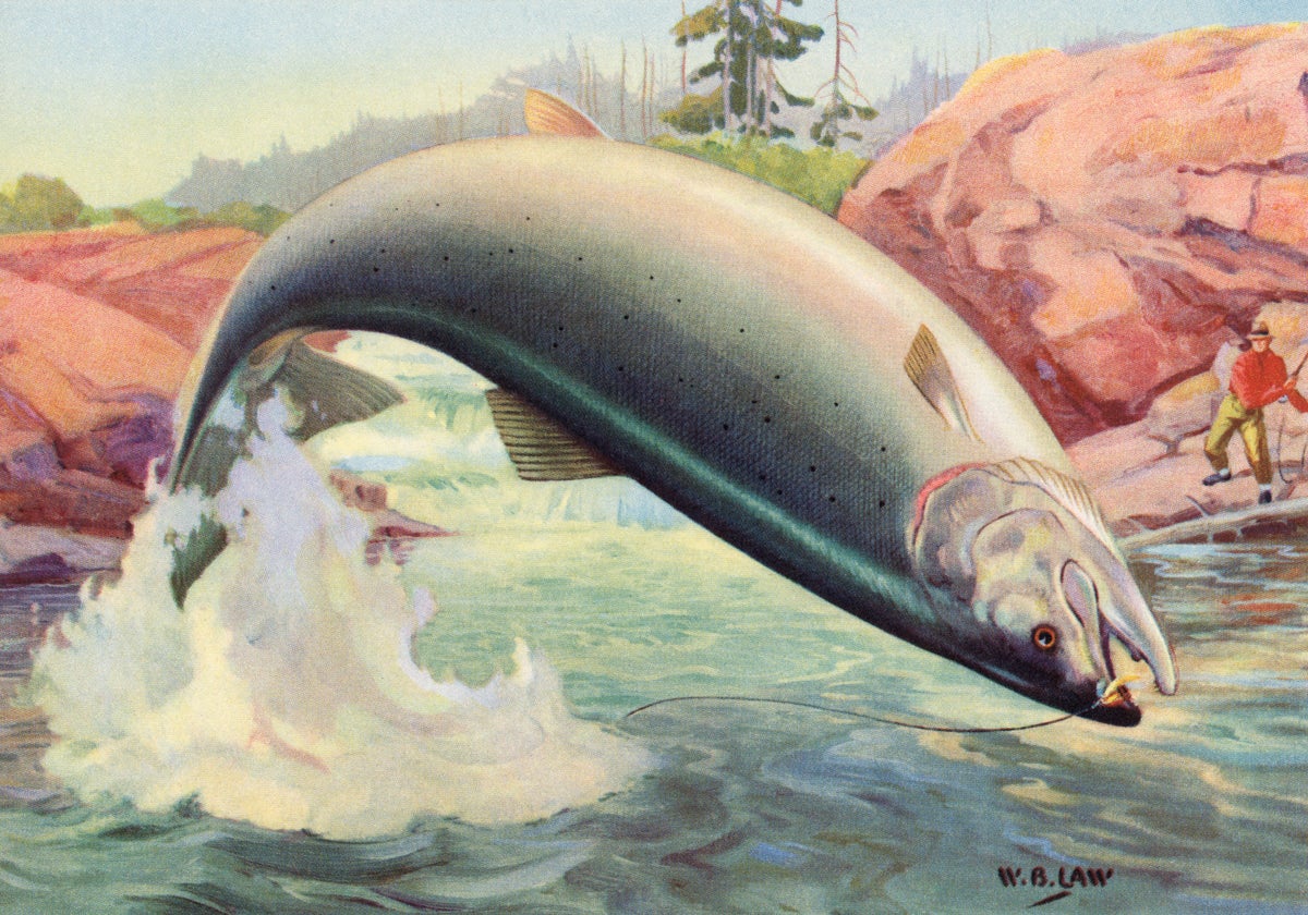 GettyImages 584044470 web