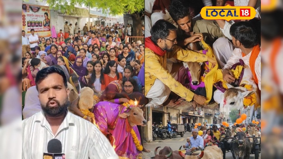 HYP 5824840 cropped 11042026 164552 picsart 260411 164132611 w 2