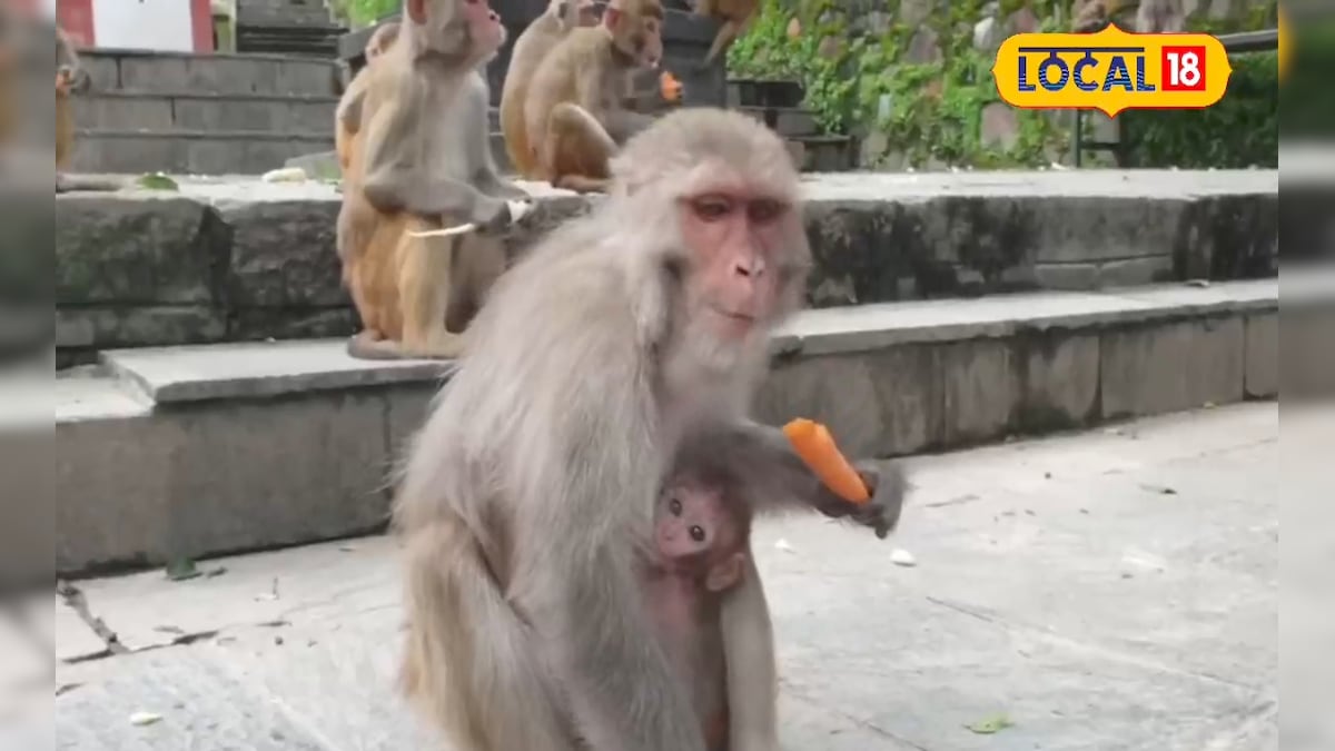 HYP 5830166 1776824415652 2