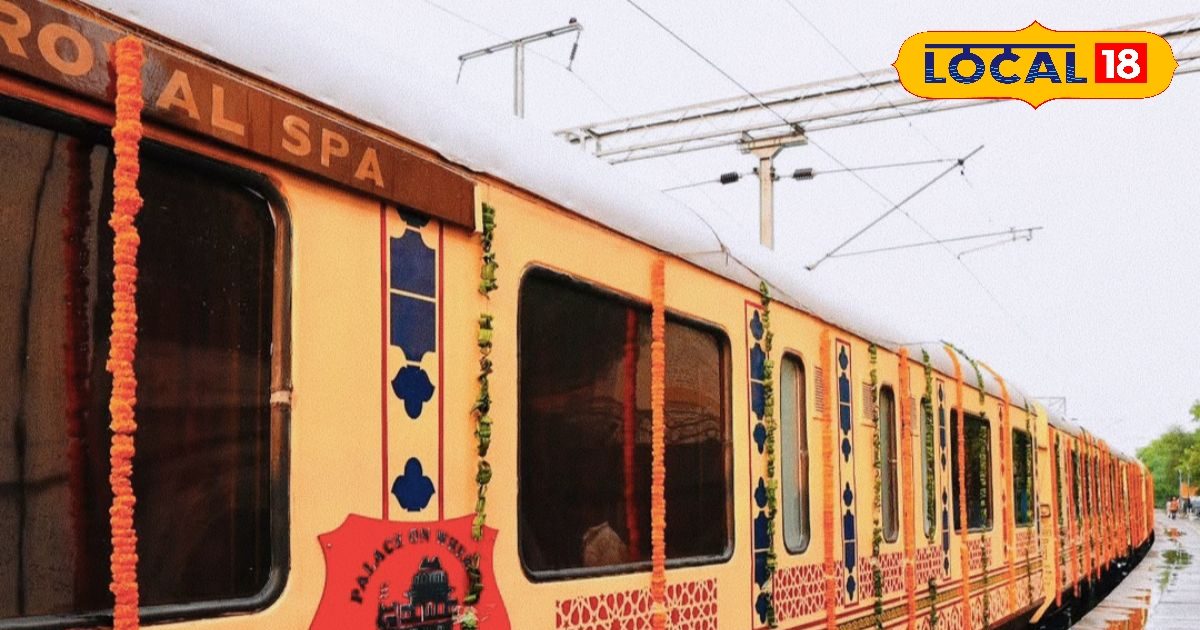 HYP 5833816 cropped 29042026 140219 untitled design 20260429 1 1