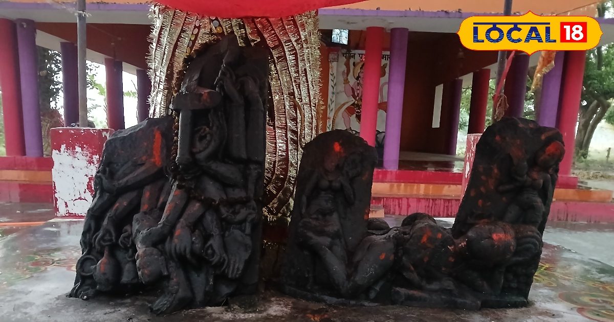 HYP 5833921 cropped 29042026 170017 20260419 182027 watermark 1