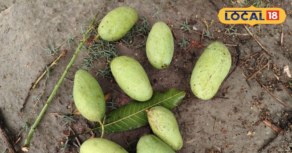 HYP 5833966 cropped 29042026 183943 img 20260429 152735 waterm 1