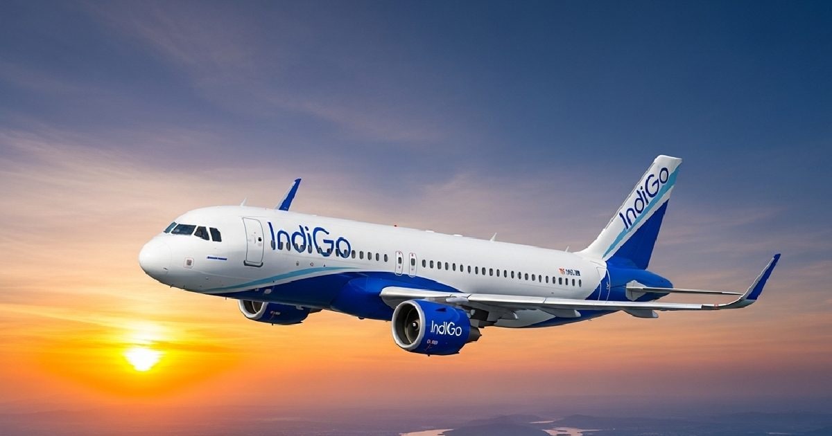 Indigo 8 2026 04 b53584b91063a731da1572ede1514b04