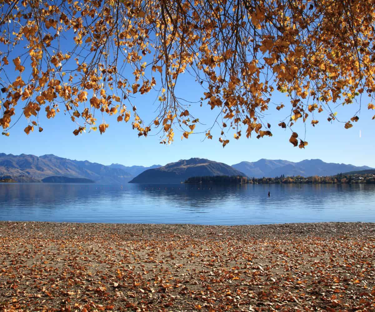 Lake Wanaka Autumn 2 SLT 2 1